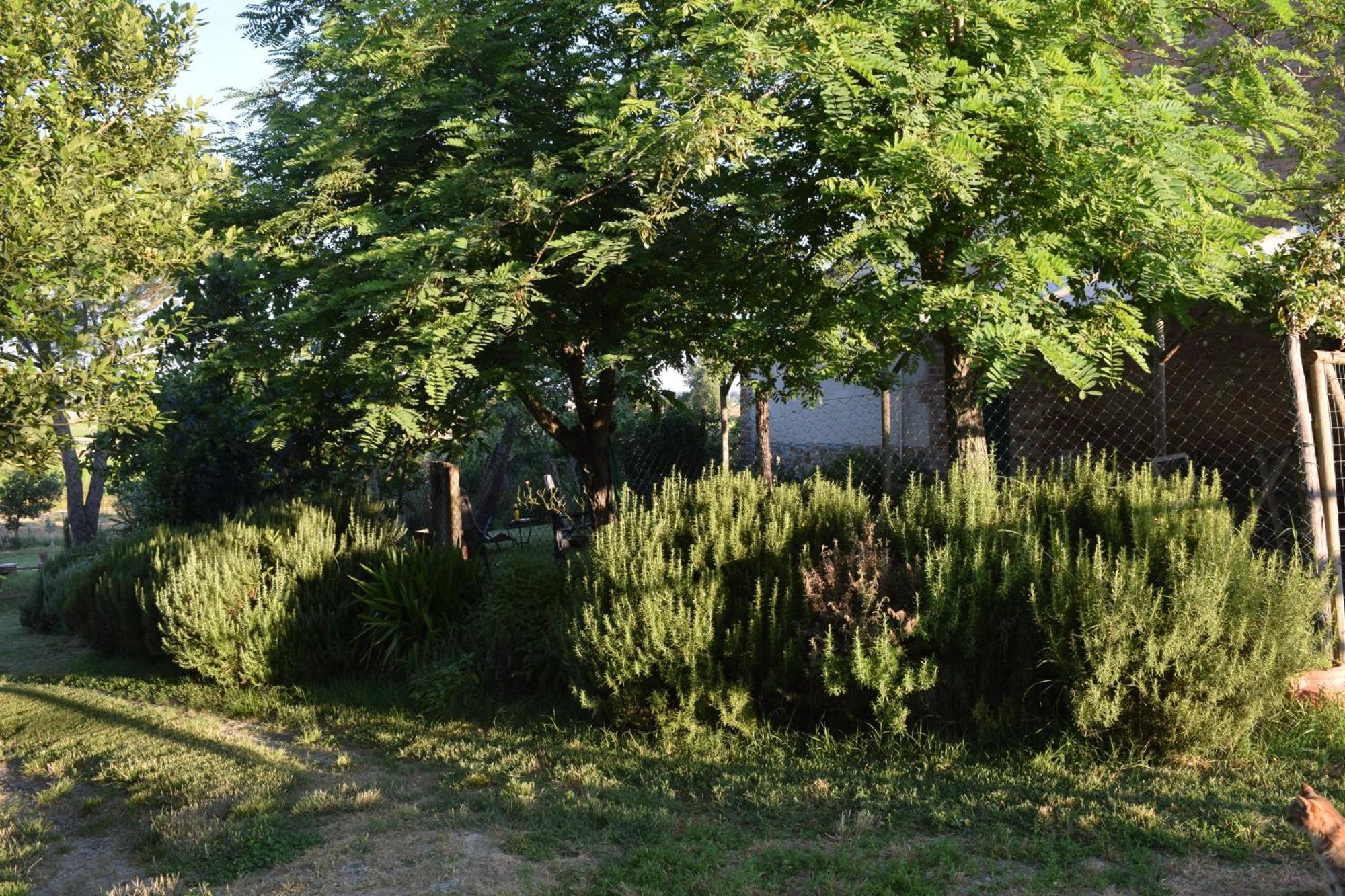Il Saragio Villa Abbadia di Montepulciano Exterior photo